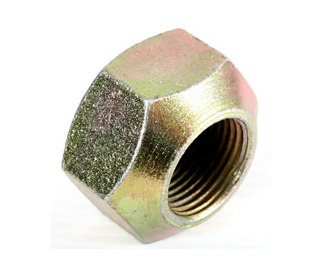 NUT 22mm - Fits Conus 1 Blue Tines