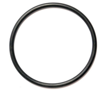 O'Ring Piston