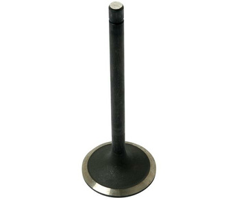 Inlet Valve Fiat.