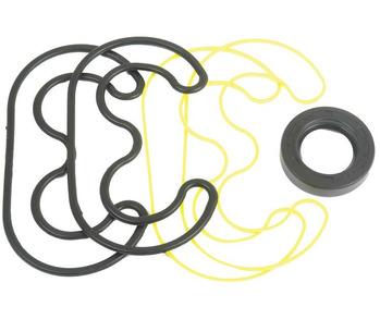 Seal Kit Hyd Pump Case 385 to CX100 etc