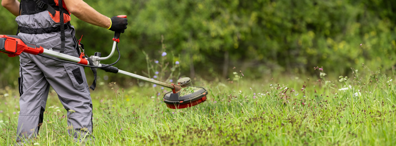 Man holding a line trimmer amongst the grass